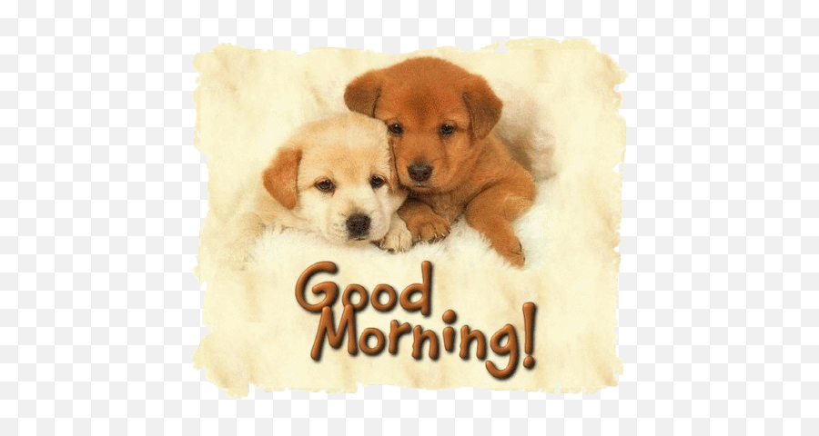 Good Morning Puppies Good Morning Puppy Good Morning - Good Morning Cute Puppy Emoji,Facebook Dog Emoji