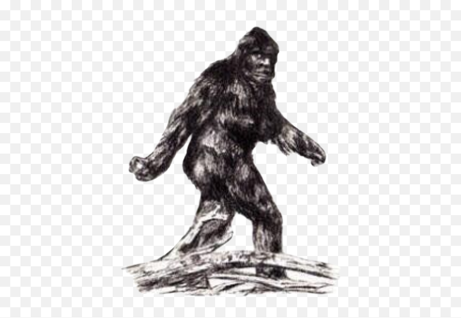 Handdrawn Sasquatch Bigfoot Sticker - Sasquatch Drawings Emoji,Sasquatch Emoji