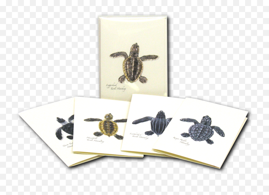 Sea Turtle Hatchling Notecards Emoji,How To Make A Turtle Emoticon On Facebook