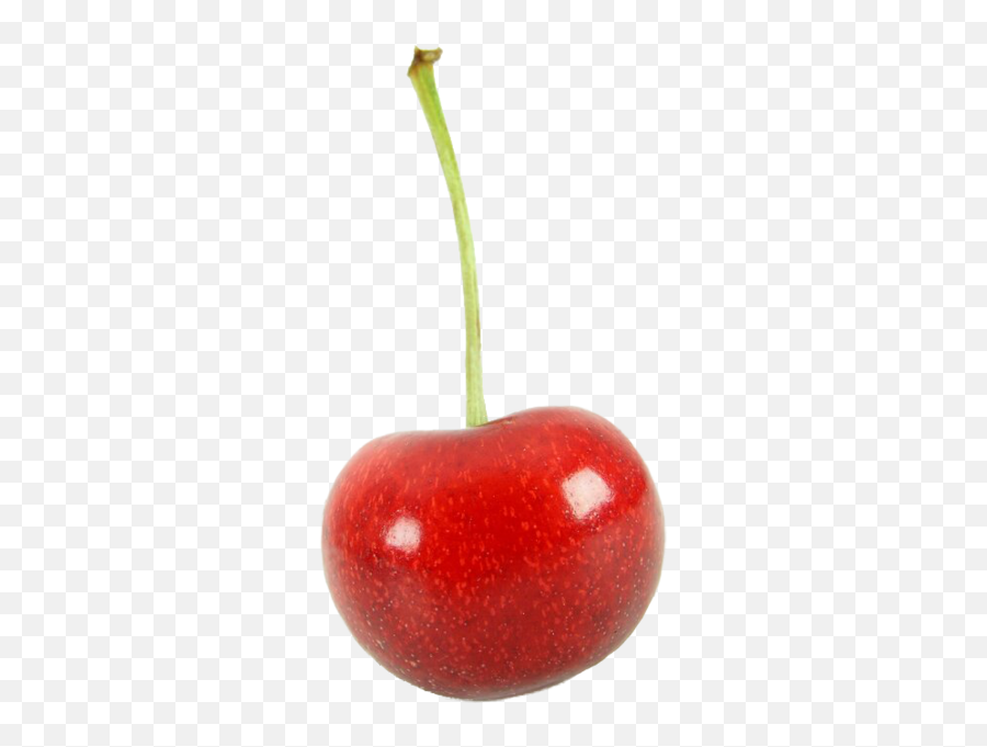 Cherry Psd Official Psds - Superfood Emoji,Cherry Cherry Cherry Emoji