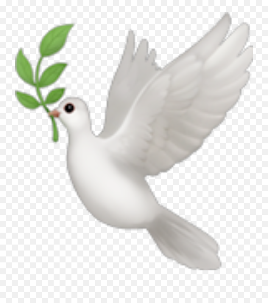 Fly High Bird Emoji,Bird Emoji