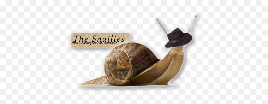 Featured The Snailies Are Back - The Pokécommunity Forums Caracol Emoji,Guess The Emoji Independence Day