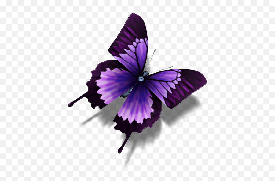 Other Butterfly Icon - Purple Butterfly Icon Emoji,Butterfly Emoji Png