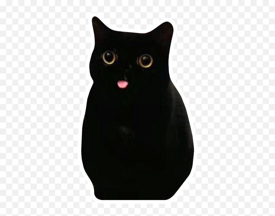Discord Emojis List - Black Cat,Rainbow Emojis Wolf