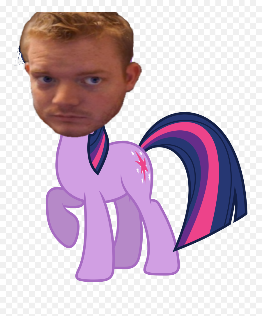 Humorous - Redigit Irl Pictures Thread Page 19 Terraria Twilight Sparkle Emoji,Misunderstood Boy Emojis