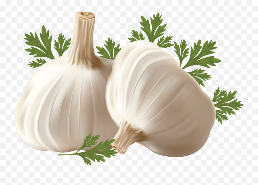 Free Garlic Transparent Background - Free Vector Vegetables Emoji,Garlic Emoji