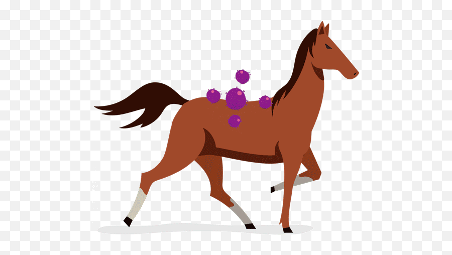 Micromed Probiotics For Horses - Carreras Caballo Corriendo Vector Emoji,Easy Emoji Horse