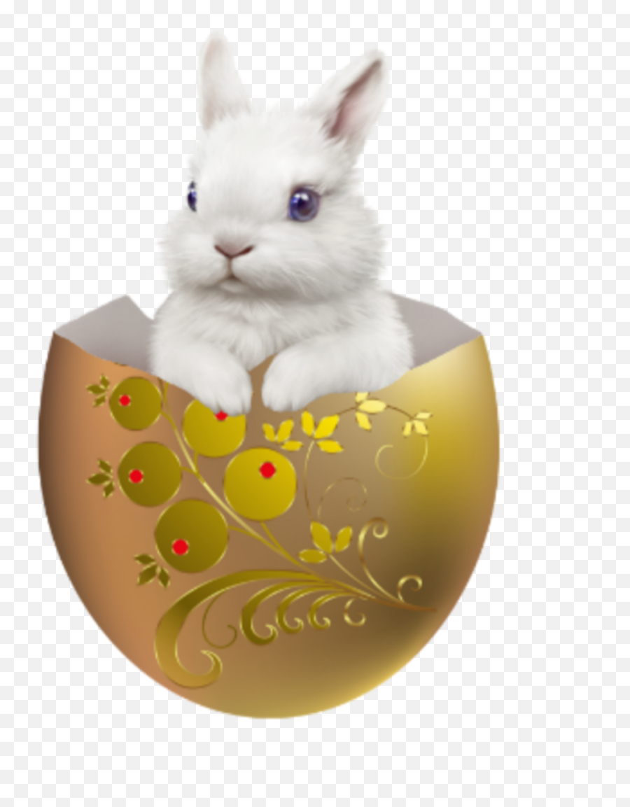 Popular And Trending Huevodepascua Stickers On Picsart - Domestic Rabbit Emoji,Emoji Rabbit And Egg