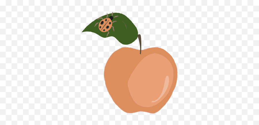 The Ombrea System Installed Above Field Crops The System Emoji,Peach Emoji Copy