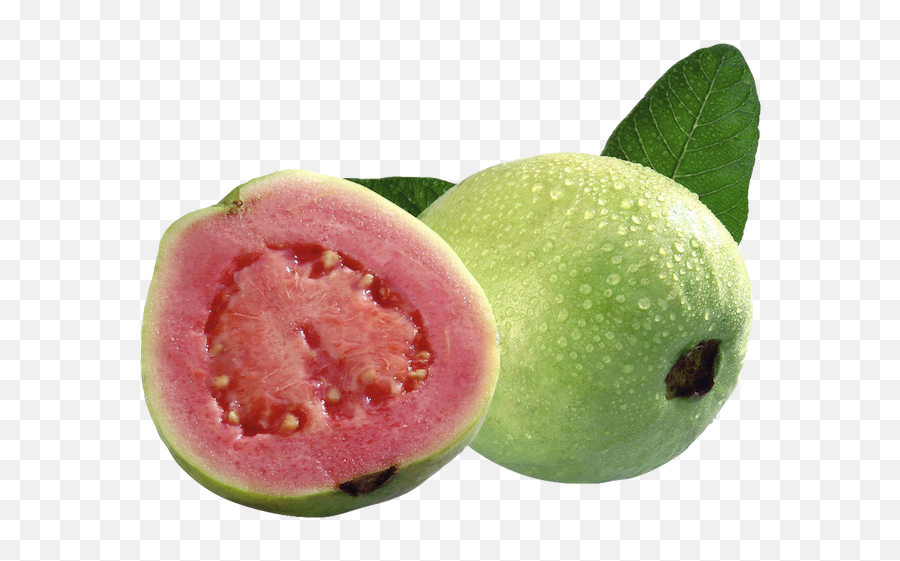 Guava Fruit Food Sticker - Voce Na Slovo F Emoji,Guava Emoji