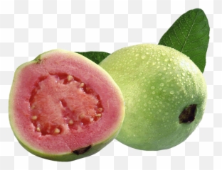 Guava Fruit Food Sticker - Voce Na Slovo F Emoji,Guava Emoji