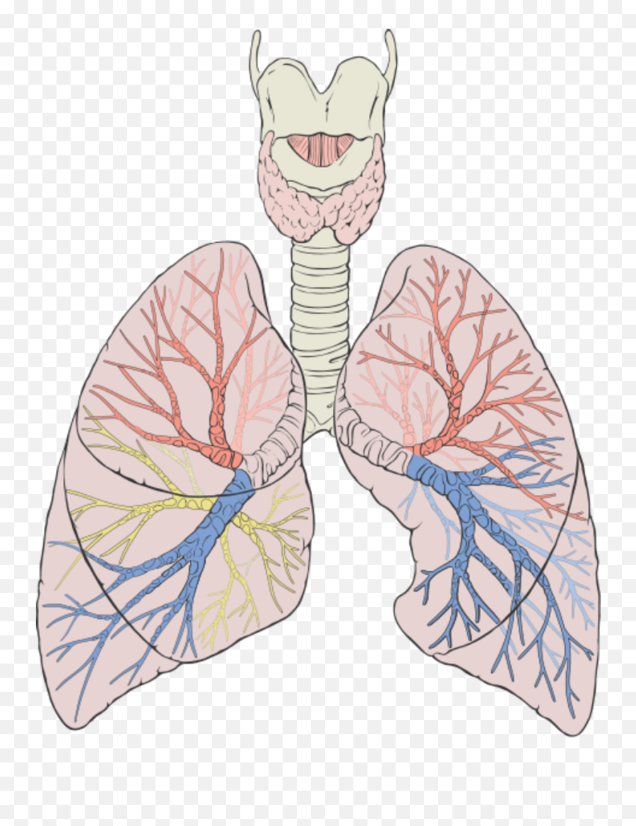 Poetry Month April 2018 U0027breatheu0027 1 And 2 - Letterpile Respiratory System No Background Emoji,Bee Gees Emotion