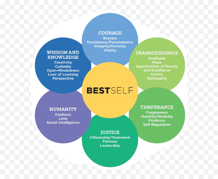 Best Self Circles Prevention And Wellness Character - Wisdom Knowledge Courage Humanity Justice Temperance And Transcendence Emoji,Positive Emotions Resilience Gratitude And Forgiveness