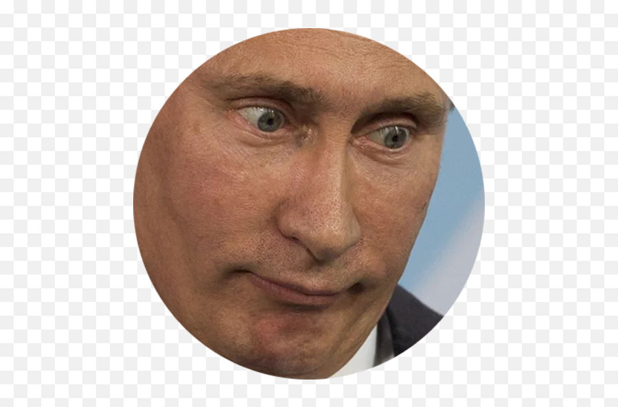 Глаз телеграм. Глаза Путина. Путин смеется. Око Путина. Путин выглядывает.