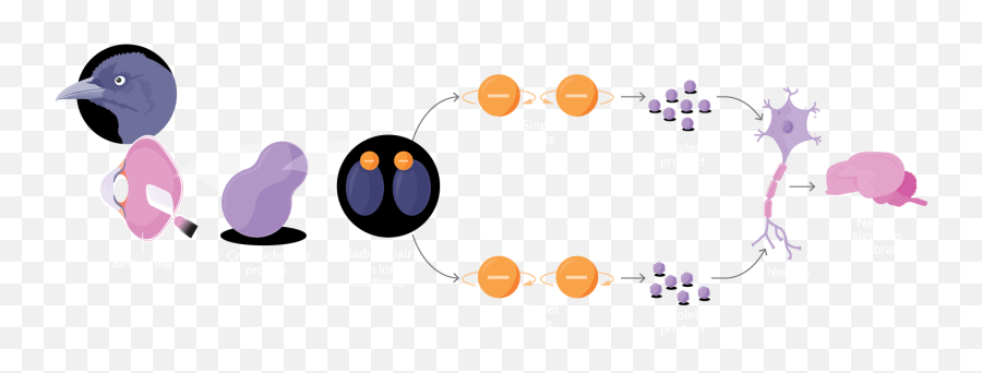 Quantum Biology May Help Solve Some Of Lifeu0027s Greatest - Dot Emoji,Psychic Emotion 6 (mu) Torrent