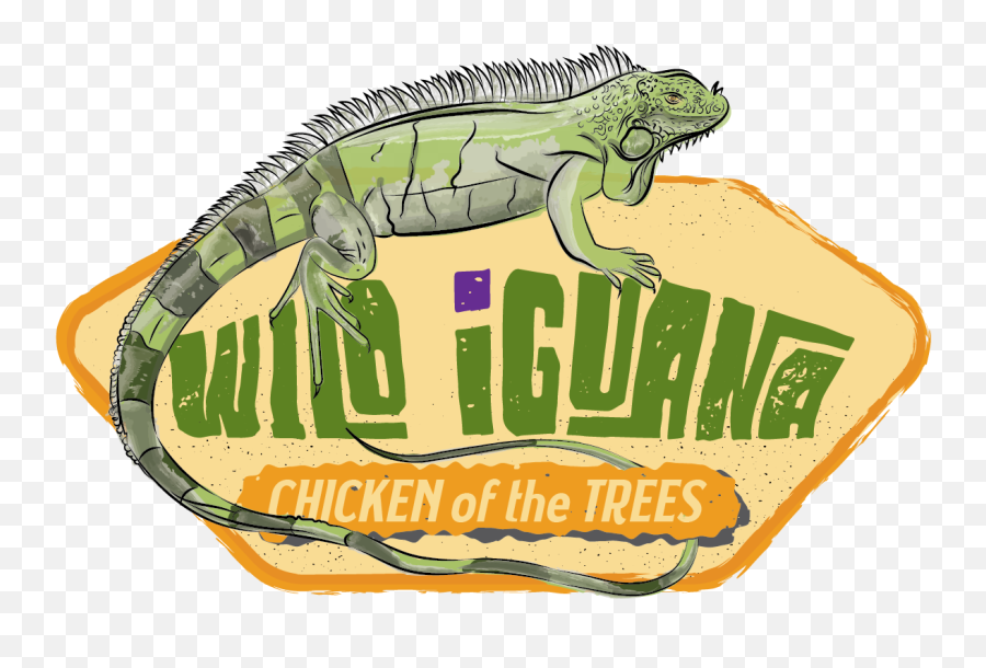 Wild Iguana Behance Emoji,Lizard Emotions