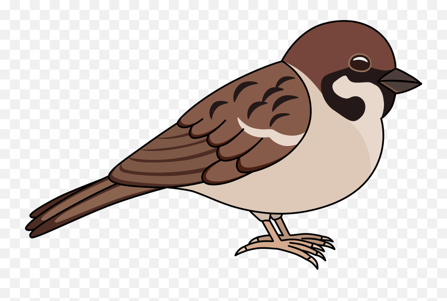 Eurasian Tree Sparrow Clipart - Clip Art Image Of Sparrow Emoji,Sparrow Emoji