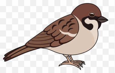 Eurasian Tree Sparrow Clipart - Clip Art Image Of Sparrow Emoji,Sparrow Emoji