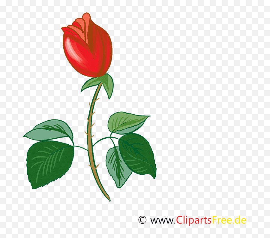 Birthday Gif Rose Flower Birthday - Floral Emoji,Happy Birthday Emoticon Gif