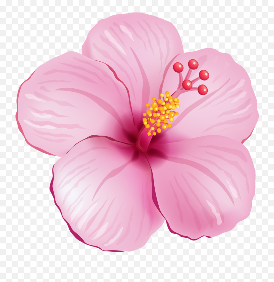 Tropical Flower Clipart - Tropical Pink Flower Png Tropical Flower Png Emoji,Pink Flower Emoji