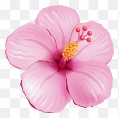 Tropical Flower Clipart - Tropical Pink Flower Png Tropical Flower Png Emoji,Pink Flower Emoji