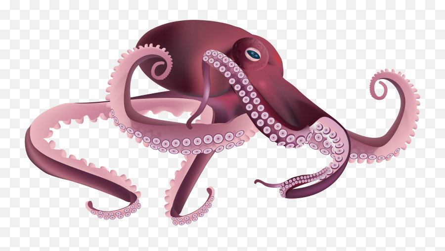 Clipart Octopus Squid Clipart Octopus Squid Transparent - Octopus Png Clipart Emoji,Kraken Emoji