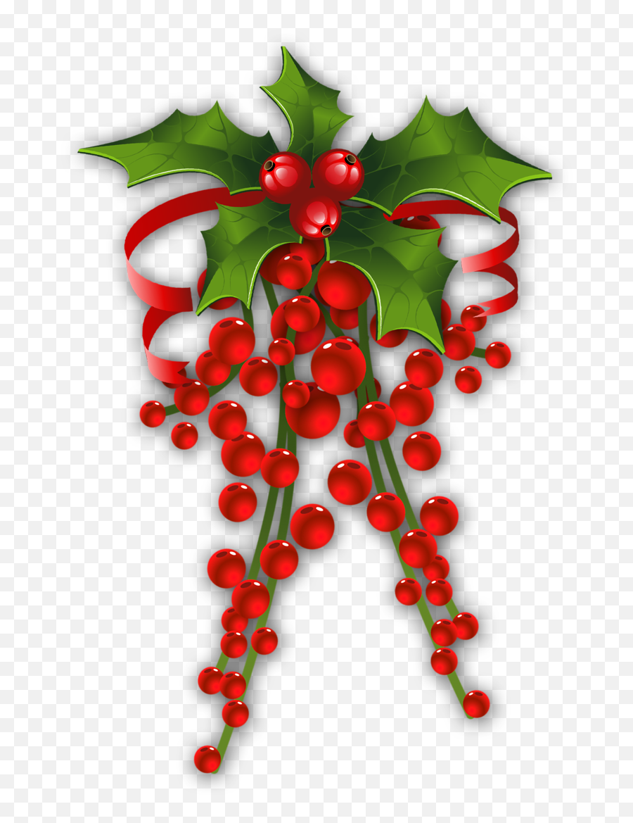Mistletoe Christmas Common Holly Clip - Hanging Mistletoe Png Emoji,Mistletoe Emoji