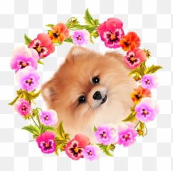 Puppies And Flowers Clipart Cute Puppy - Cute Puppies Dog Dp For Whatsapp Emoji,Clip Art Puppy Emotions