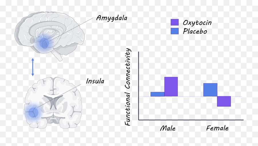 Oxytocin Affects Social Sharing And - Vertical Emoji,Emotions And The Brain In Men And Women