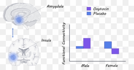 Oxytocin Affects Social Sharing And - Vertical Emoji,Emotions And The Brain In Men And Women