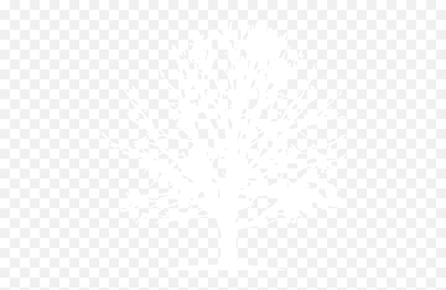 White Tree Icon - White Tree Icon Transparent Emoji,Facebook Deciduous Tree Emoticon