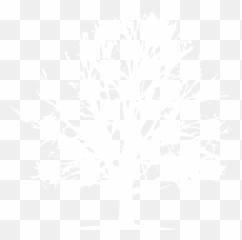 White Tree Icon - White Tree Icon Transparent Emoji,Facebook Deciduous Tree Emoticon