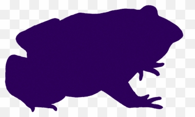 List Of Bands With Animal - Themed Names Brad Frost Emoji,Frog Emoji Instagram