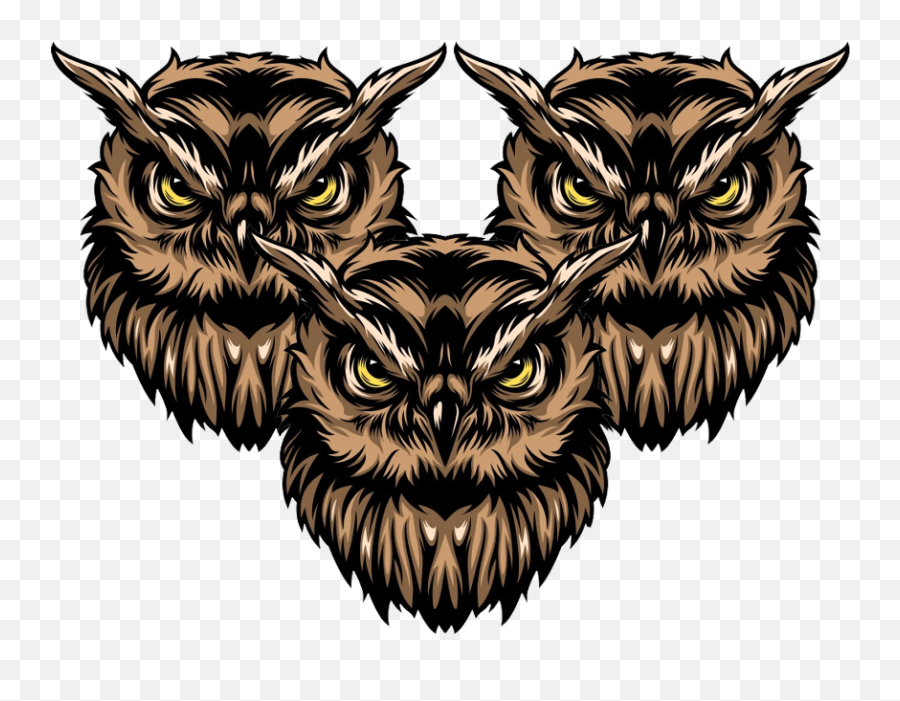 Wgmi Owls Emoji,Owl Emoticon