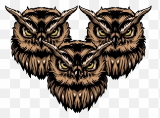 Wgmi Owls Emoji,Owl Emoticon