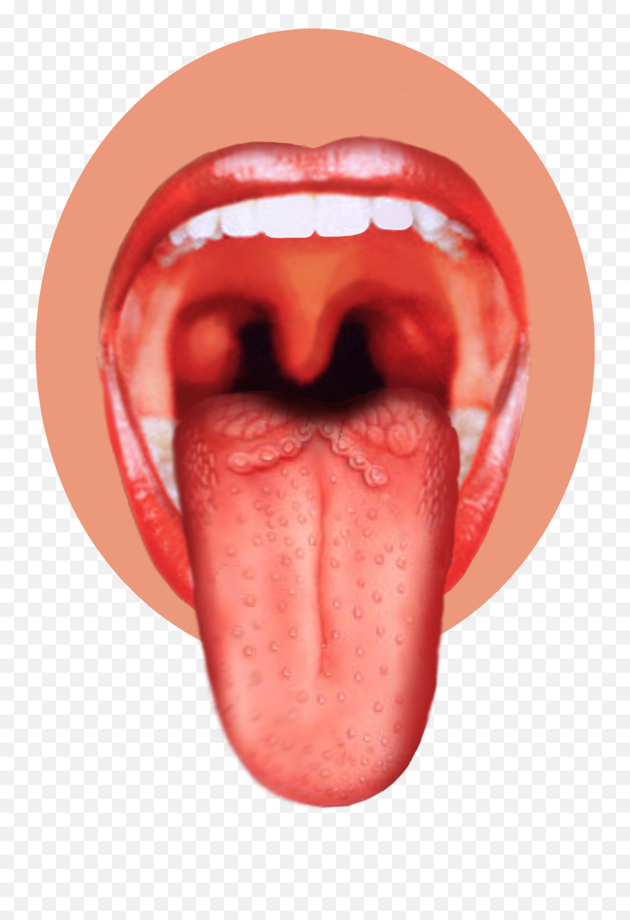 Taste Clipart Toung Taste Toung Transparent Free For - Man Tongue Png Emoji,Toung Out Emoji