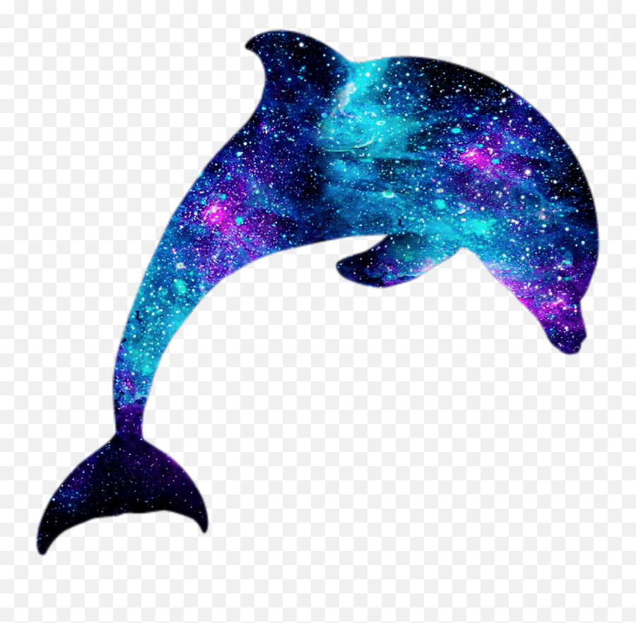 Dolphins Cute Stickers For Whatsapp - Delfin Png Emoji,Dolphin Emoji