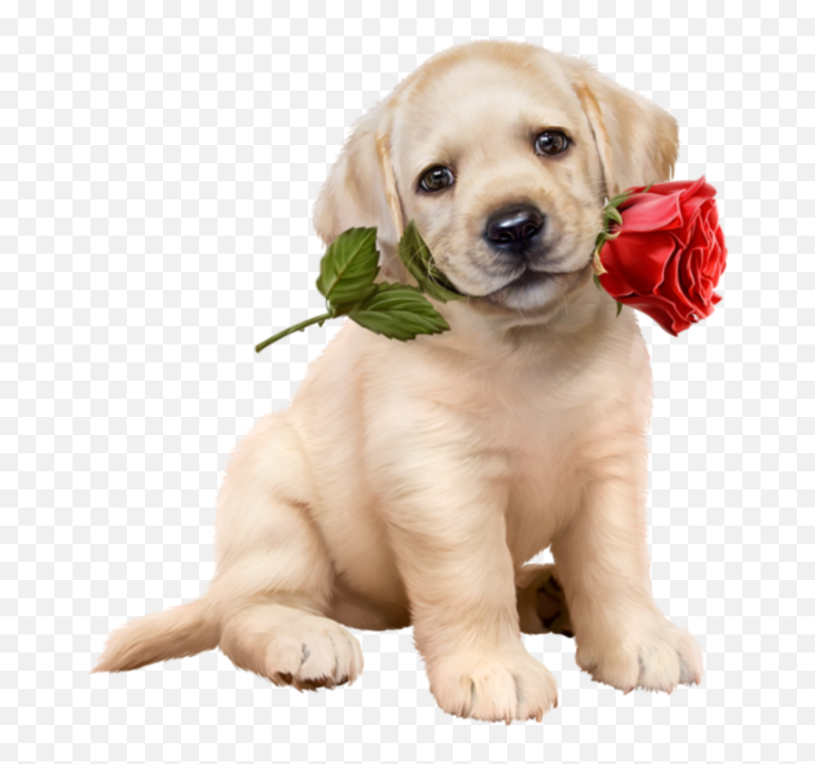 Cute Dog Photos Cute Dogs - Golden Terrier Dog Puppy Emoji,Happy Birthday Emoticons With Labrador Retriever