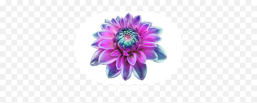 Messages Stickers The Best Messages Stickers For Ios10 - Water Lily Emoji,Flower Hat Emoji