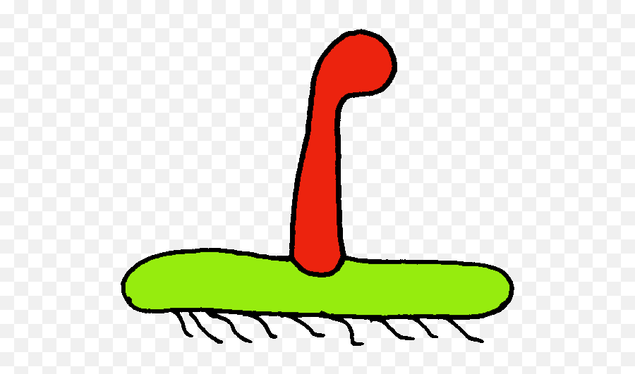 Bryophytes - Introduction Scrub Brush Emoji,Raindrop Sperm Emoji