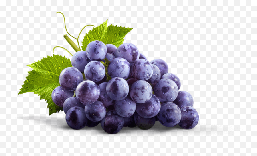 Grape Png Transparent Grapes Clipart Images Free Download - Transparent Grape Png Emoji,Facebook Emoticons Grapes