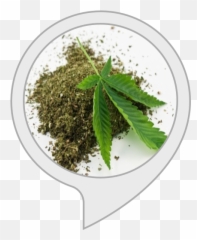 Lero Lero Amazoncombr - Feuille De Cannabis Seche Emoji,Lero Lero Emoji