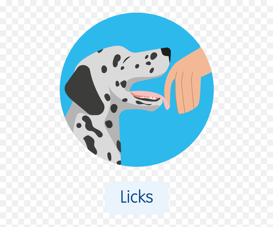 Five Signs Your Dog Loves You Blue Cross - Dot Emoji,Dogs Emotions