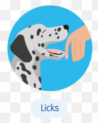 Five Signs Your Dog Loves You Blue Cross - Dot Emoji,Dogs Emotions