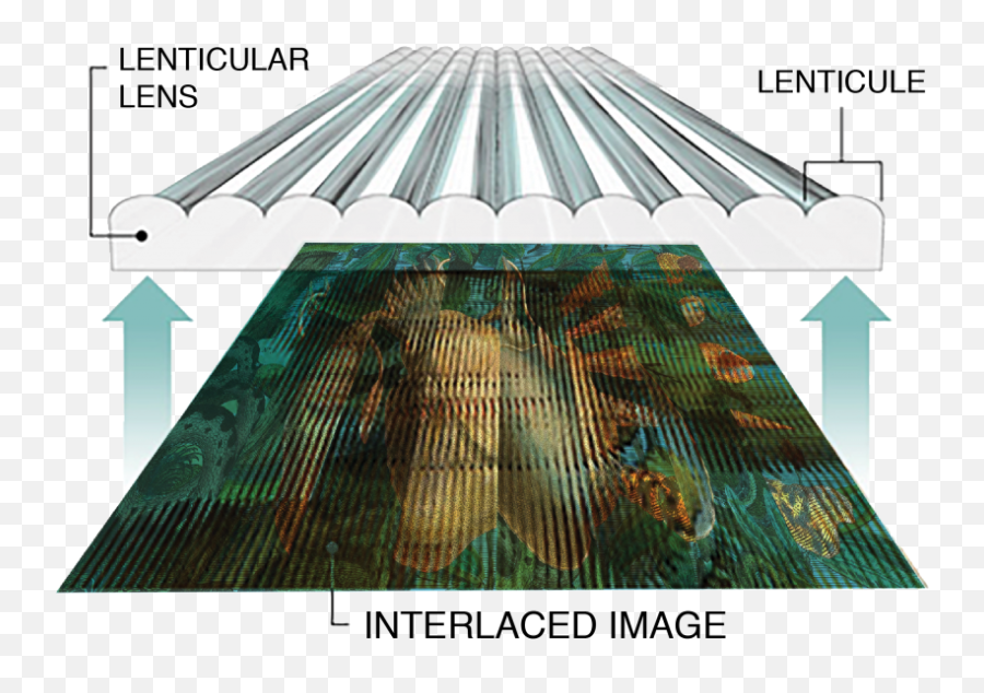 Brigid Laurie Author At Smithsonian - Lenticular Print Without Lens Emoji,Emotions Flipbook Crisis Negotiation