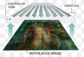 Brigid Laurie Author At Smithsonian - Lenticular Print Without Lens Emoji,Emotions Flipbook Crisis Negotiation