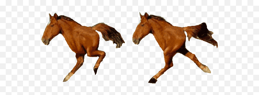 Animal Roleplay Amino - Two Legged Horse Emoji,Guess The Emoji Horse And Arm