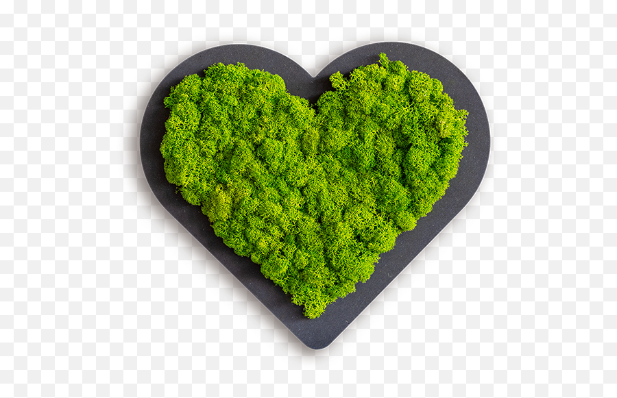 Moss Heart Emoji,Mother's Day Is Always A Day Of Stir-up Emotions