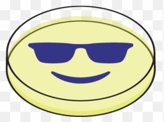 Bactograph Emoji,Emoticons Screwing