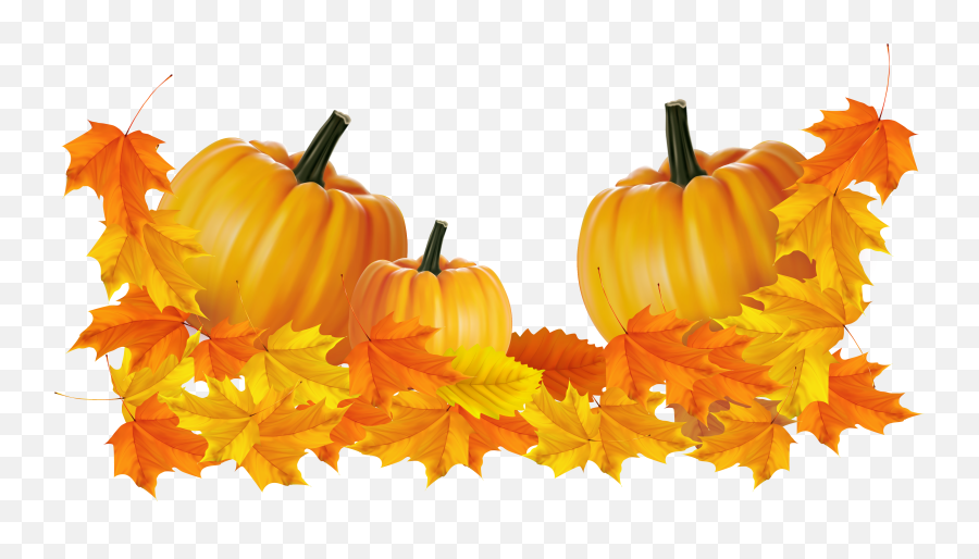 Fall Leaves And Pumpkins Png Free - Cliparts Backgrounds For Thanksgiving Emoji,Emoji Pumpkin Painting